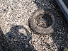 1FTNR2CM5FK****** Destrozados 2015 Ford Transit-250 en Estado de Nueva York