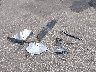 1FA6P0H78E5****** Destrozados 2014 Ford Fusion en Estado de Minnesota