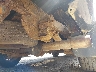 5TENX4CN6AZ****** Repairable 2010 Toyota Tacoma