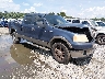 1FTPW14V56F****** Salvamento y Destrozados 2006 Ford F-150 en Savannah