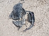 1C4PJLCB4MD****** Wrecked 2021 Jeep Cherokee in Texas State