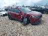 1C4PJLLB1LD****** Salvamento y Destrozados 2020 Jeep Cherokee en Lafayette
