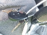 3TMKU4HN8CM****** Salvage 2012 Toyota Tacoma in California State