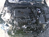 1N4BL4BV3KC****** Reparables 2019 Nissan Altima en Lexington
