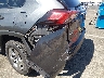 2T3W1RFV5RW****** Salvage and Repairable 2024 Toyota RAV4 in Nevada State