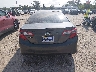 4T1BF1FK6DU****** Destrozados 2013 Toyota Camry