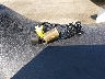 00000YDV370****** Salvage 2005 Sea-Doo Rxp-260 in Maine State