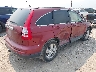 JHLRE4H7XAC****** Salvamento y Destrozados 2010 Honda CR-V en Estado de Montana