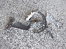 KL77LKEP0SC****** Wrecked 2025 Chevrolet Trax in California State
