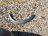 3N1CP5DV1LL****** Wrecked 2020 Nissan Kicks in California State