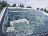 1GTV2NEC5HZ****** Repairable 2017 GMC Sierra 1500