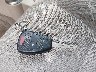 3A8FY68B76T****** Salvage 2006 Chrysler PT Cruiser in Missouri State