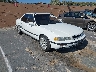 JH4KA7669MC****** Salvage and Wrecked 1991 Acura Legend in Santa Clarita