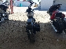 1HD1YYK23PB****** Salvamento y Reparables 2023 Harley-Davidson FXBBS en Estado de California