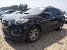 5XYPGDA51HG****** Used and Repairable 2017 Kia Sorento in Seattle