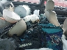 2T1CF28P6YC****** Wrecked 2000 Toyota Camry Solara in Chattanooga