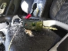 2GNALBEK1E1****** Salvamento 2014 Chevrolet Equinox en Estado de Virginia