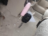 JHLRD68526C****** Salvage 2006 Honda CR-V in Ohio State