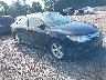 4T1BD1FK3EU****** Salvamento y Destrozados 2014 Toyota Camry Hybrid en Long Island