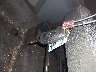 3FTTW8B91RR****** Salvage 2024 Ford Maverick in Michigan State