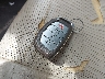 5NPDH4AE1EH****** Salvage 2014 Hyundai Elantra in South Carolina State