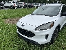 1FMCU0G67MU****** Usados y Reparables 2021 Ford Escape en Charlotte