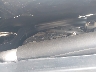 WDDHF8HB4BA****** Repairable 2011 Mercedes-Benz E 350 in Bridgeport