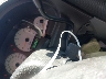 1D4GP24R56B****** Salvage 2006 Dodge Grand Caravan in North Carolina State
