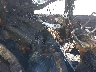 5FNRL3H7XAB****** Wrecked 2010 Honda Odyssey in Sayreville