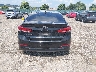 KMHD84LF2HU****** Destrozados 2017 Hyundai Elantra