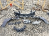 JTHGL5EF4E5****** Wrecked 2014 Lexus LS 460 in Georgia State