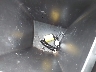 YDV23055***** Salvage 2017 Sea-Doo Rxp-300 in New York State