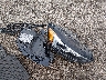 2FMPK4APXLB****** Wrecked 2020 Ford Edge in Kansas State