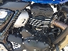 SMTT127Y8RN****** Destrozados 2024 Triumph Speed en Rec Rides Online Exclusive