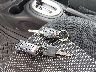 3N1CN7AP5HL****** Salvage 2017 Nissan Versa in Missouri State