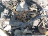 5TBRT34173S****** Repairable 2003 Toyota Tundra in Concord