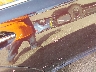 4T1BK1EB6GU****** Salvage and Repairable 2016 Toyota Avalon in Southern New Jersey