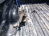 3C63D3CL0CG****** Wrecked 2012 RAM 3500 in South Carolina State
