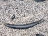 5GAKRBKD8FJ****** Wrecked 2015 Buick Enclave in Ohio State