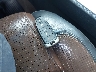 1FM5K7F85DG****** Salvage 2013 Ford Explorer in Michigan State