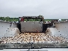 1GCGC24J4FF****** Reparables 1985 Chevrolet C20 en Estado de Iowa