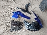 JYARNA3E0TA****** Destrozados 2026 Yamaha Yzf890 en Estado de Ohio