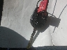 1FADP3E24GL****** Salvamento 2016 Ford Focus en Estado de Arkansas