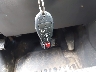 1D7RV1GT8BS****** Salvamento 2011 Dodge Ram en Estado de Pennsylvania