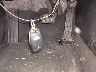 5NPDH4AE8GH****** Salvage 2016 Hyundai Elantra in Georgia State