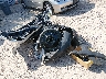 1FMCU0J93KU****** Destrozados 2019 Ford Escape en Estado de Wisconsin