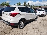 1FMCU0J93KU****** Salvamento y Destrozados 2019 Ford Escape en Estado de Wisconsin