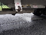 1TDH40021GB****** Salvamento y Reparables 2016 Timpte Grain Trailer en Estado de Illinois