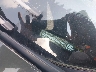 2FMPK4G93PB****** Usados 2023 Ford Edge en Milwaukee
