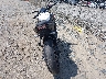 ML5EREP19PD****** Salvamento y Reparables 2023 Kawasaki Z650 en Estado de Virginia